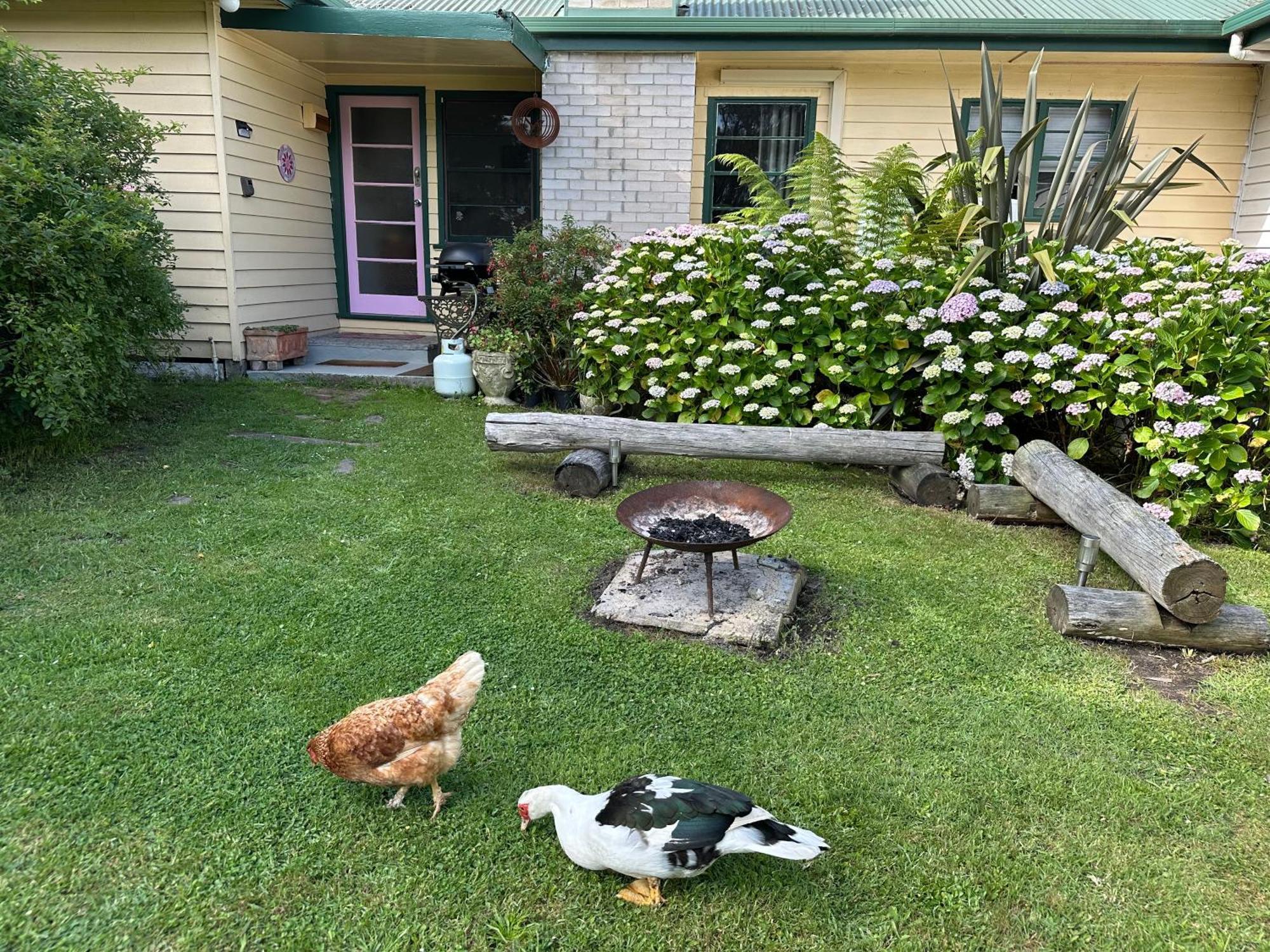 Bush Retreat Farm Stay 2 Bedroom Guest Suite Gelliondale Exterior photo